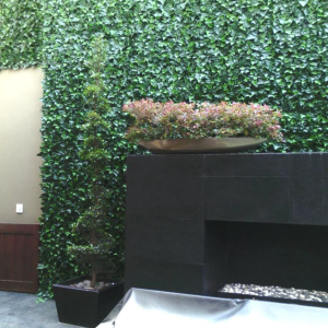 decoracion muro verde cancun