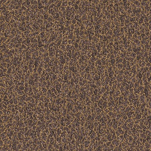 papel tapiz playa del carmen