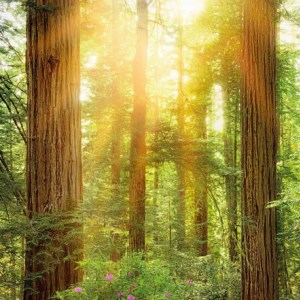 papel tapiz playa cancun