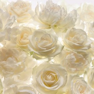 papel tapiz playa cancun