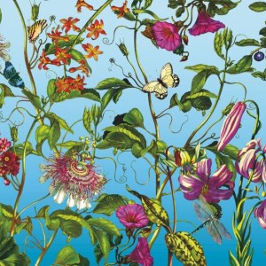 papel tapiz playa cancun