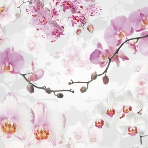 papel tapiz playa cancun