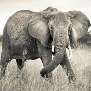 papel tapiz playa cancun