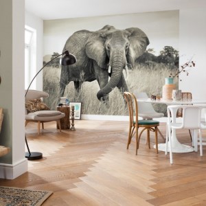 papel tapiz playa cancun