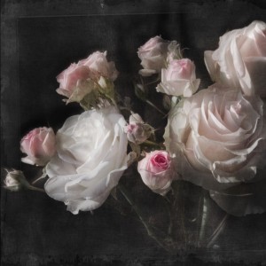 papel tapiz playa cancun