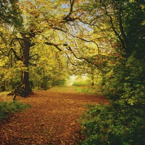 papel tapiz playa cancun
