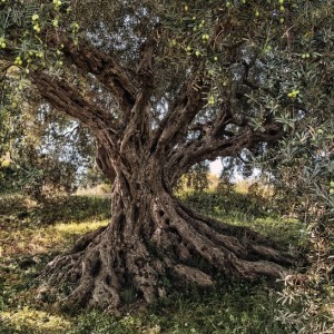 papel tapiz playa cancun