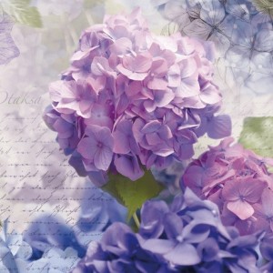 papel tapiz playa cancun